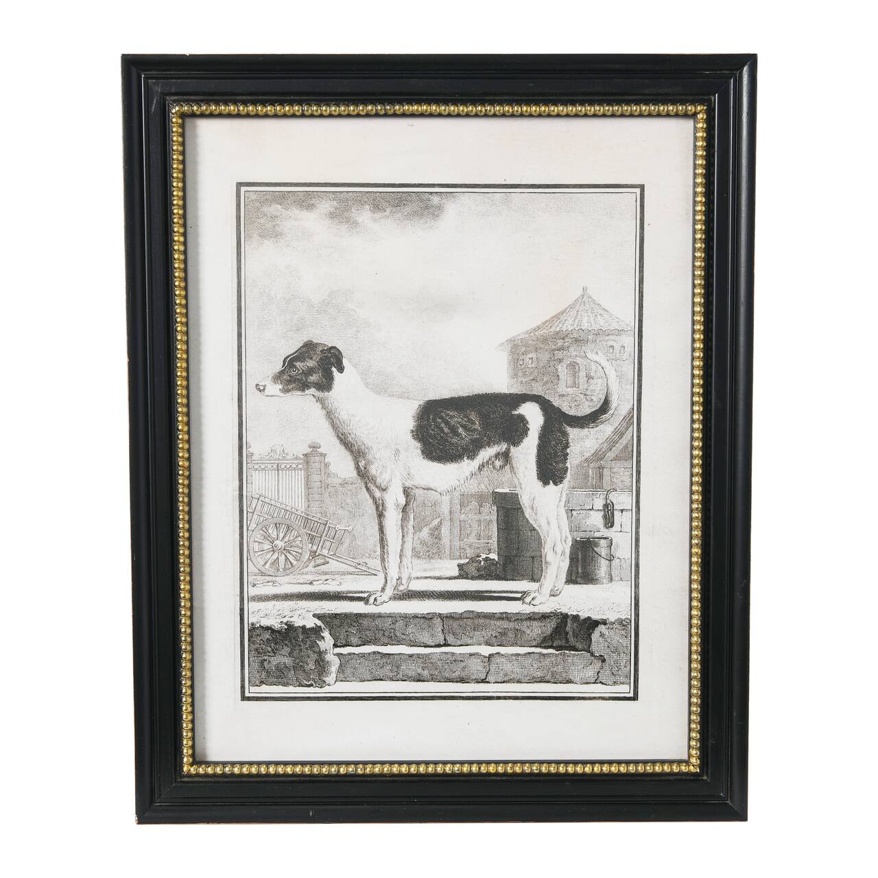 Hello Honey® Framed Vintage Reproduction Dog Print Wall Art